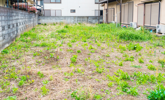 お金のかからない雑草対策!簡単で安くできるのは?